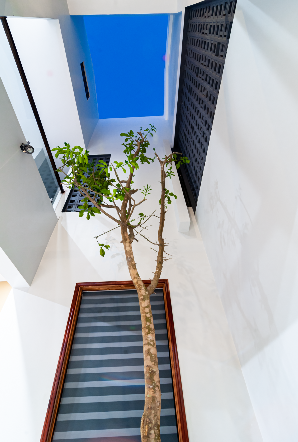 Nunu House: Không gian nghỉ dưỡng nhiệt đới-17