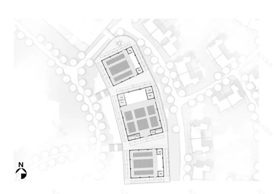 探秘龙游国际兰花博览园-65