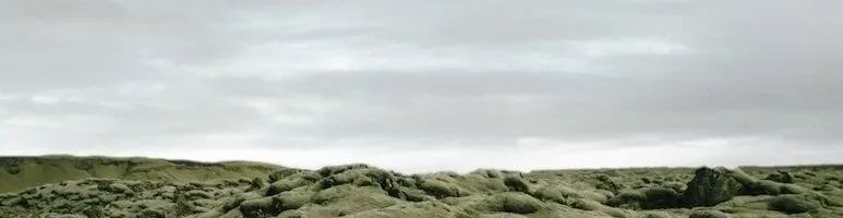 自然无界 | 复氏样板房的自然风情与品质设计-3