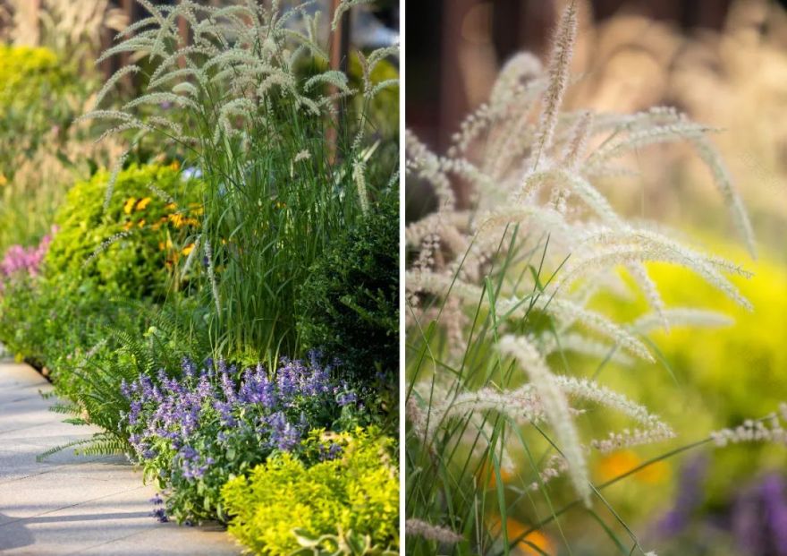 南京阳光城・檀境丨中国南京丨LAURENT罗朗景观-79