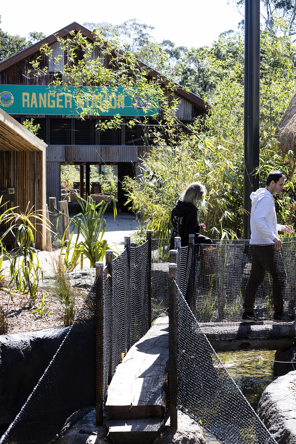 苏门答腊虎冒险·塔隆加动物园新展设计-7
