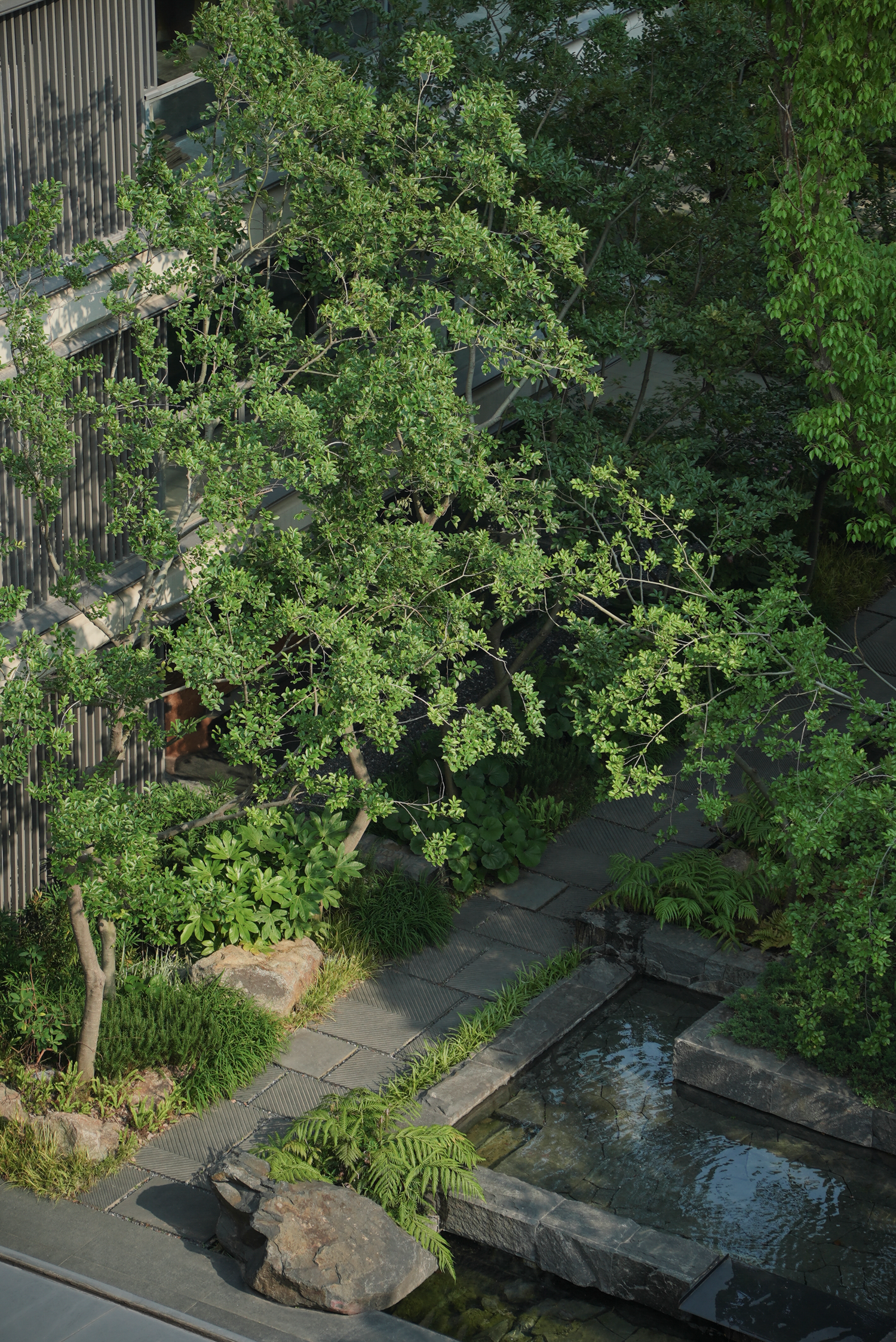 苏州和悦塘前雅院大区丨中国苏州丨MIND迈德景观-111