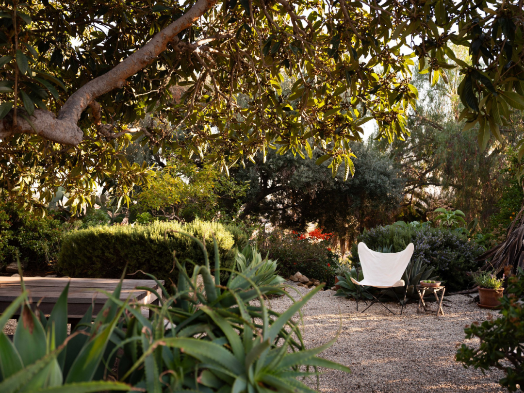 风之住宅（La Ventosa Residence）丨美国洛杉矶丨Patrick Bernatz Ward-79