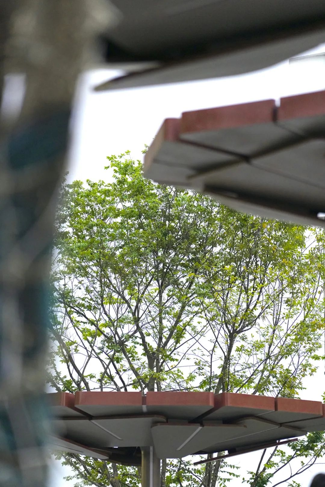 烟火与优雅，多元复合的城市街角客厅|兴安广场-171