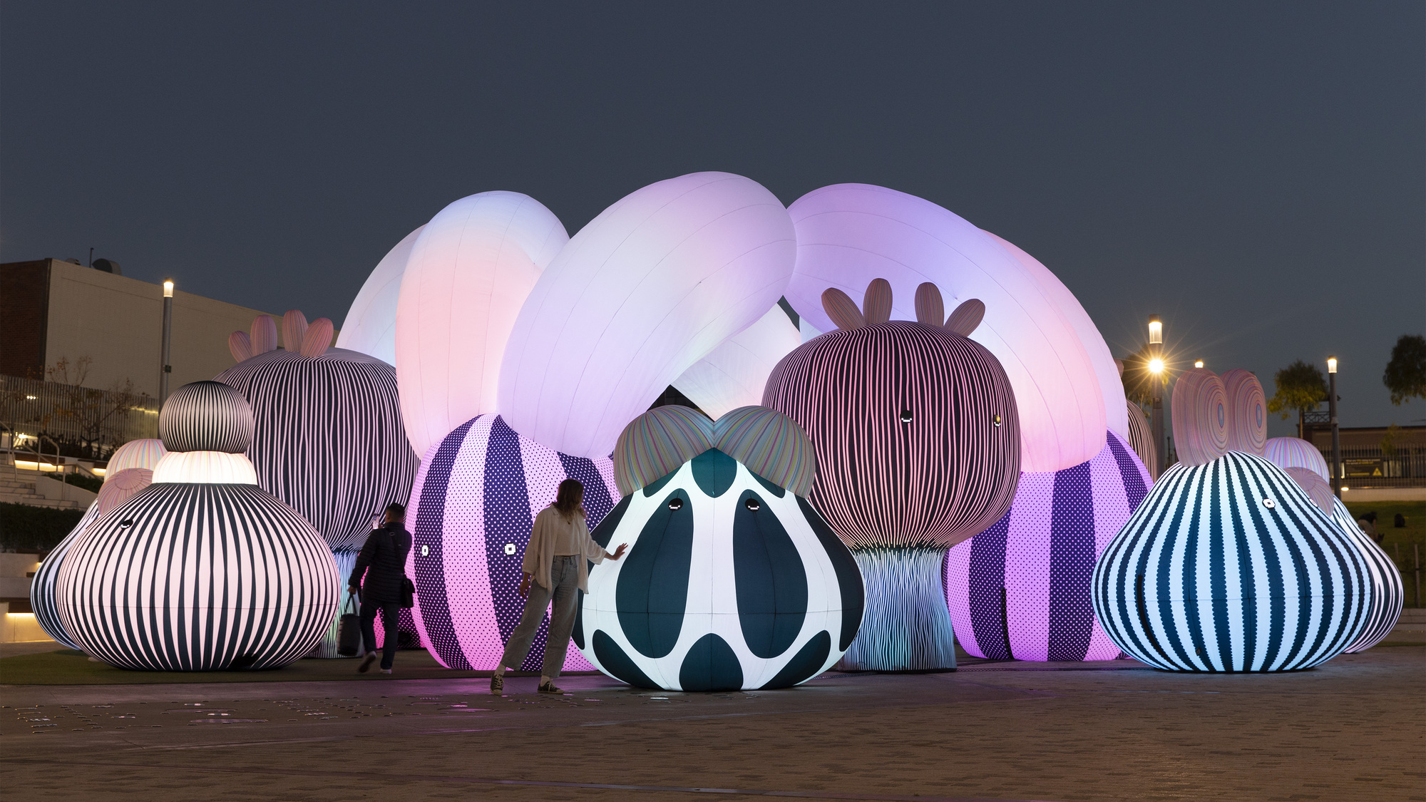 飞艇管弦乐队丨澳大利亚丨ENESS-23