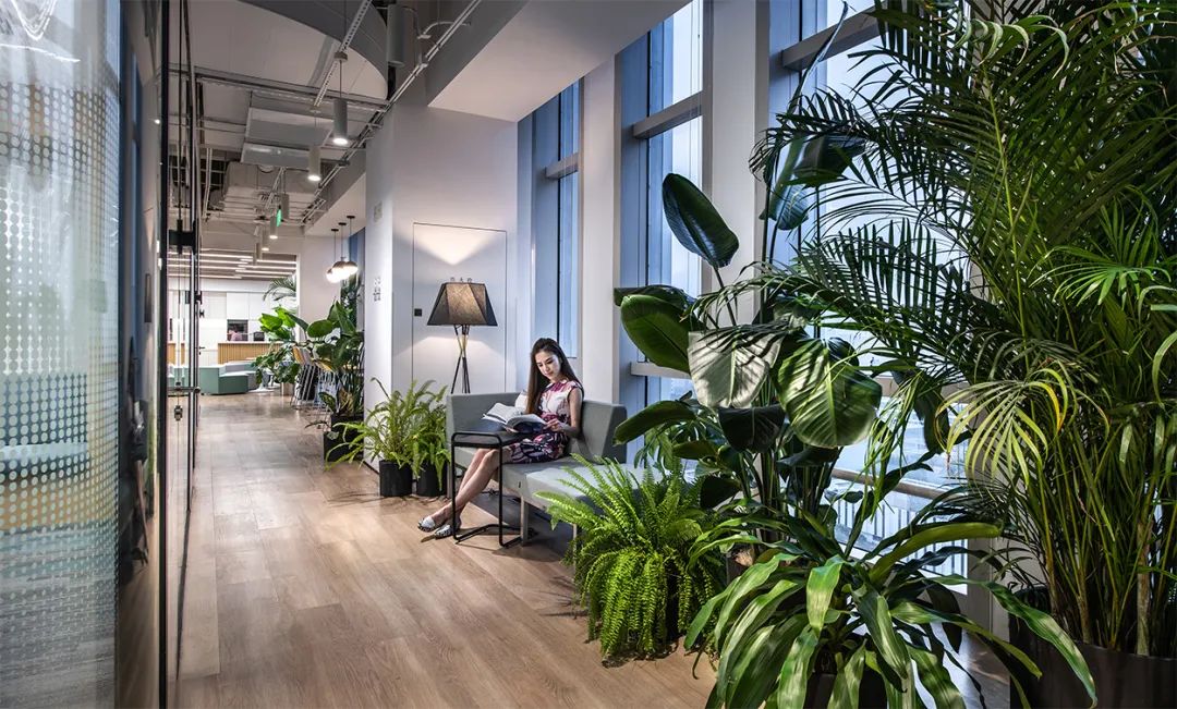 因美纳大中华区总部办公空间设计丨中国上海丨穆氏-46