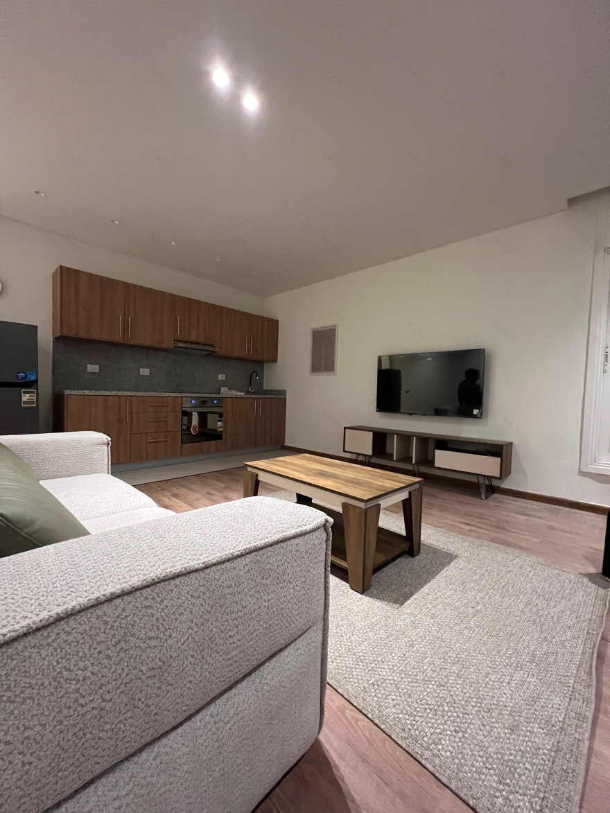 Zamalek 公寓室内装修丨埃及开罗-11