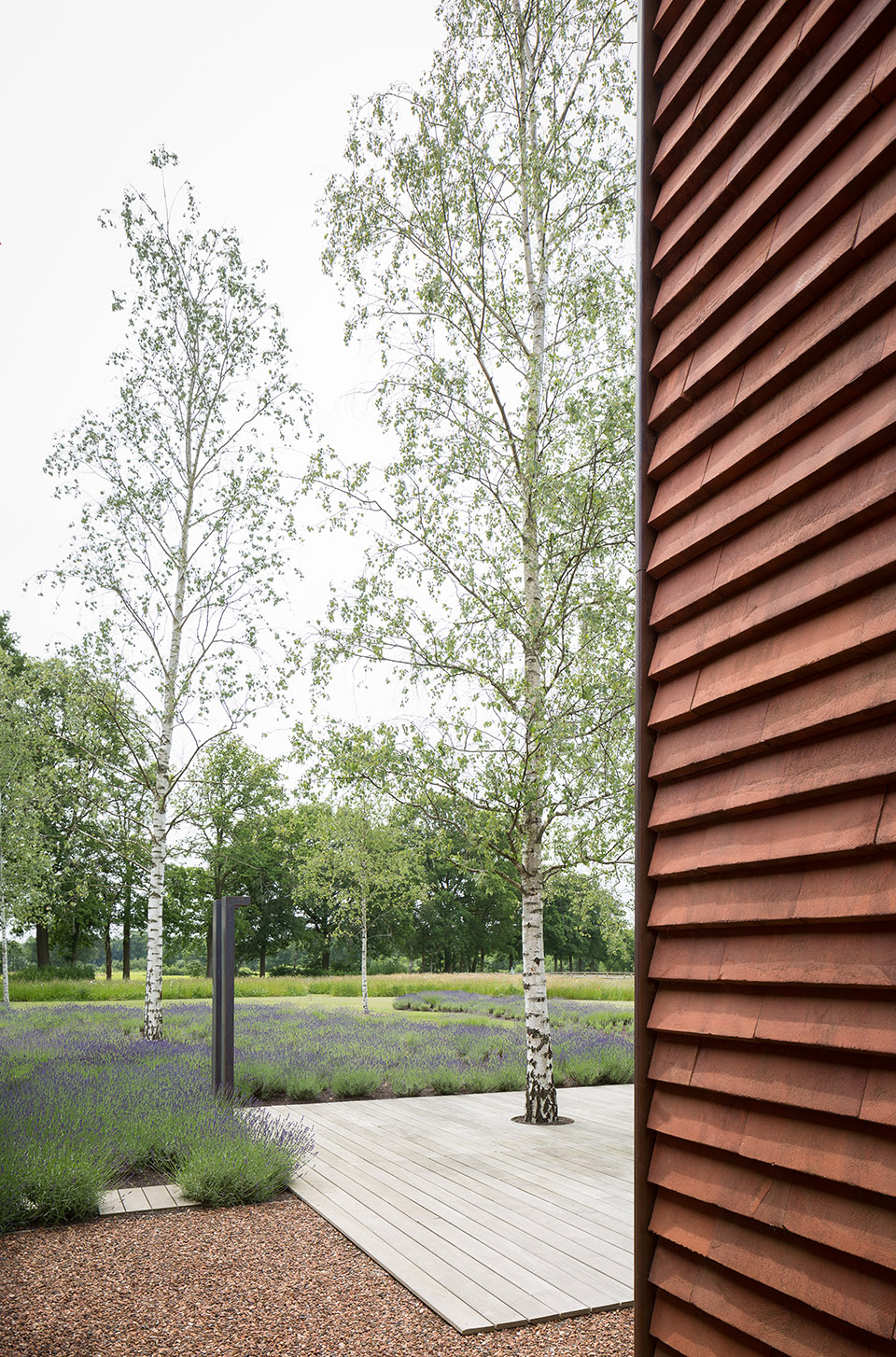 Olmen住宅，比利时 / Pascal François Architects-65