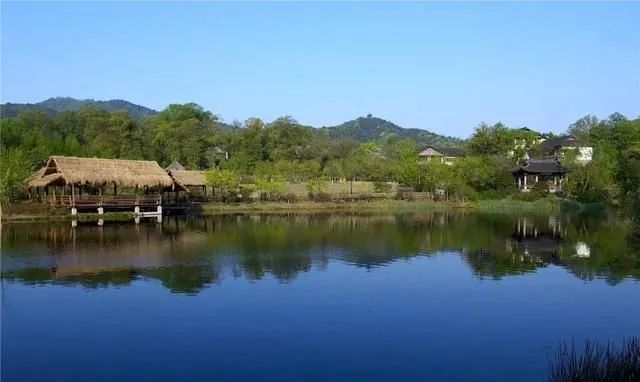 50岁的大叔,将破宅改造成别墅,里面的院子,都是诗意。-4