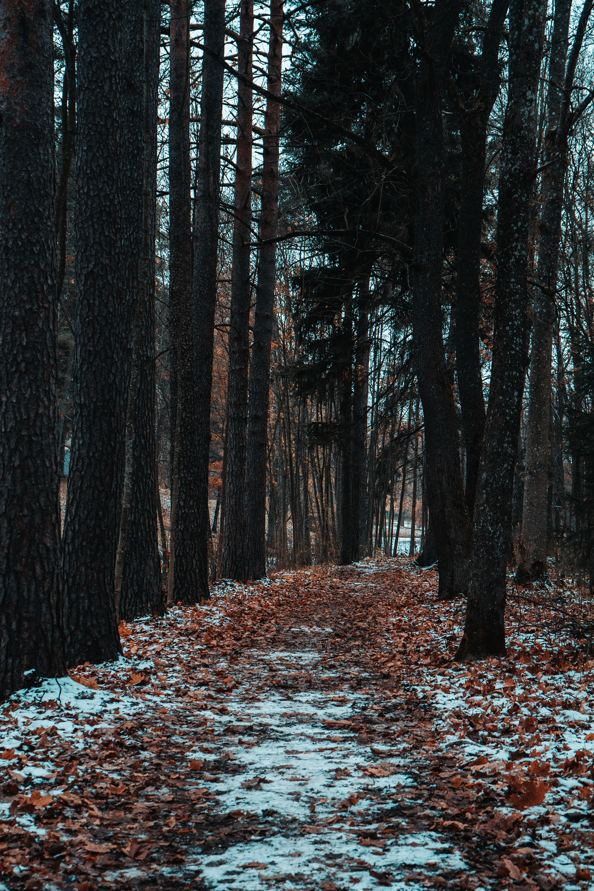 Demidov 庄园周边景观设计-16