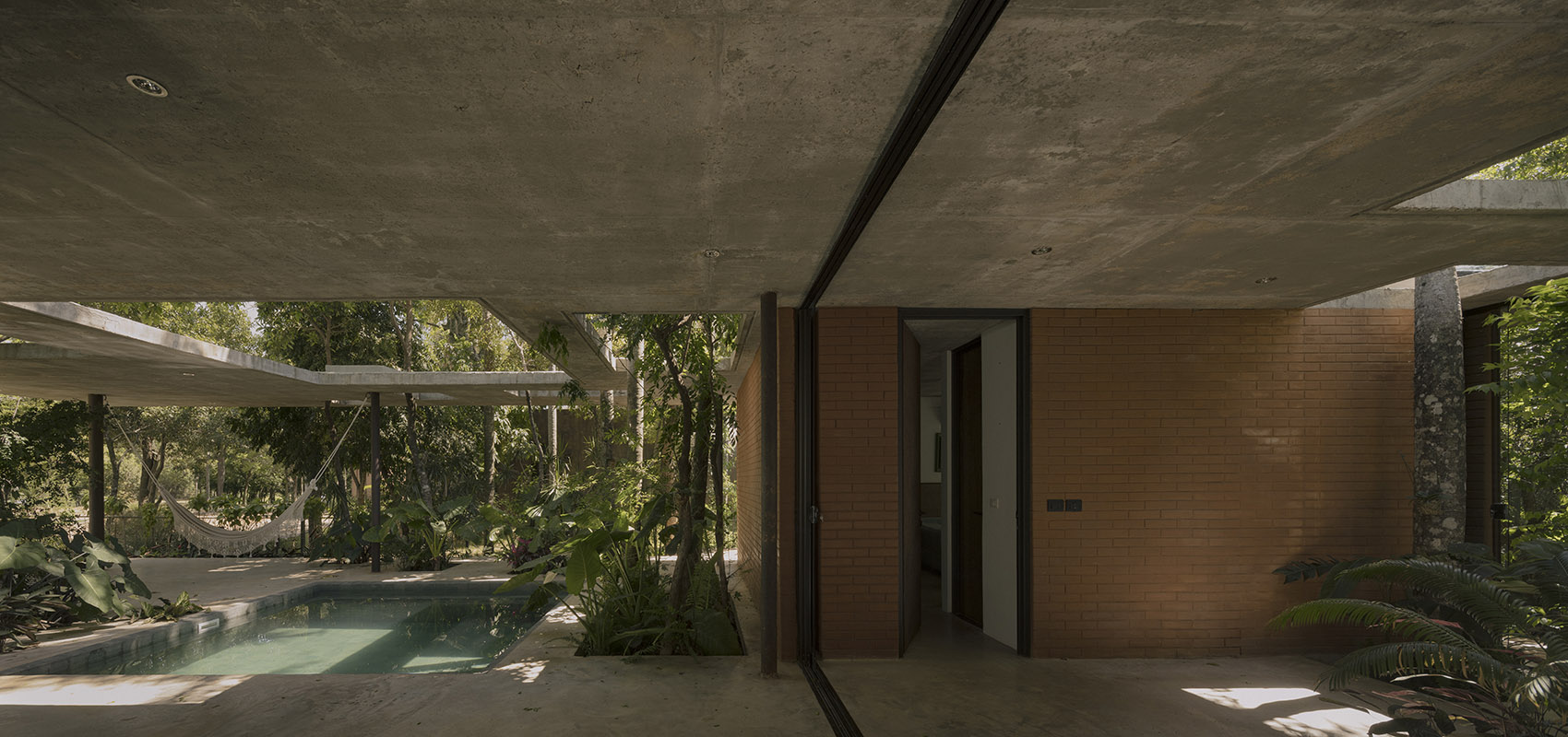 屋中森林丨巴拉圭丨Equipo de Arquitectura-92