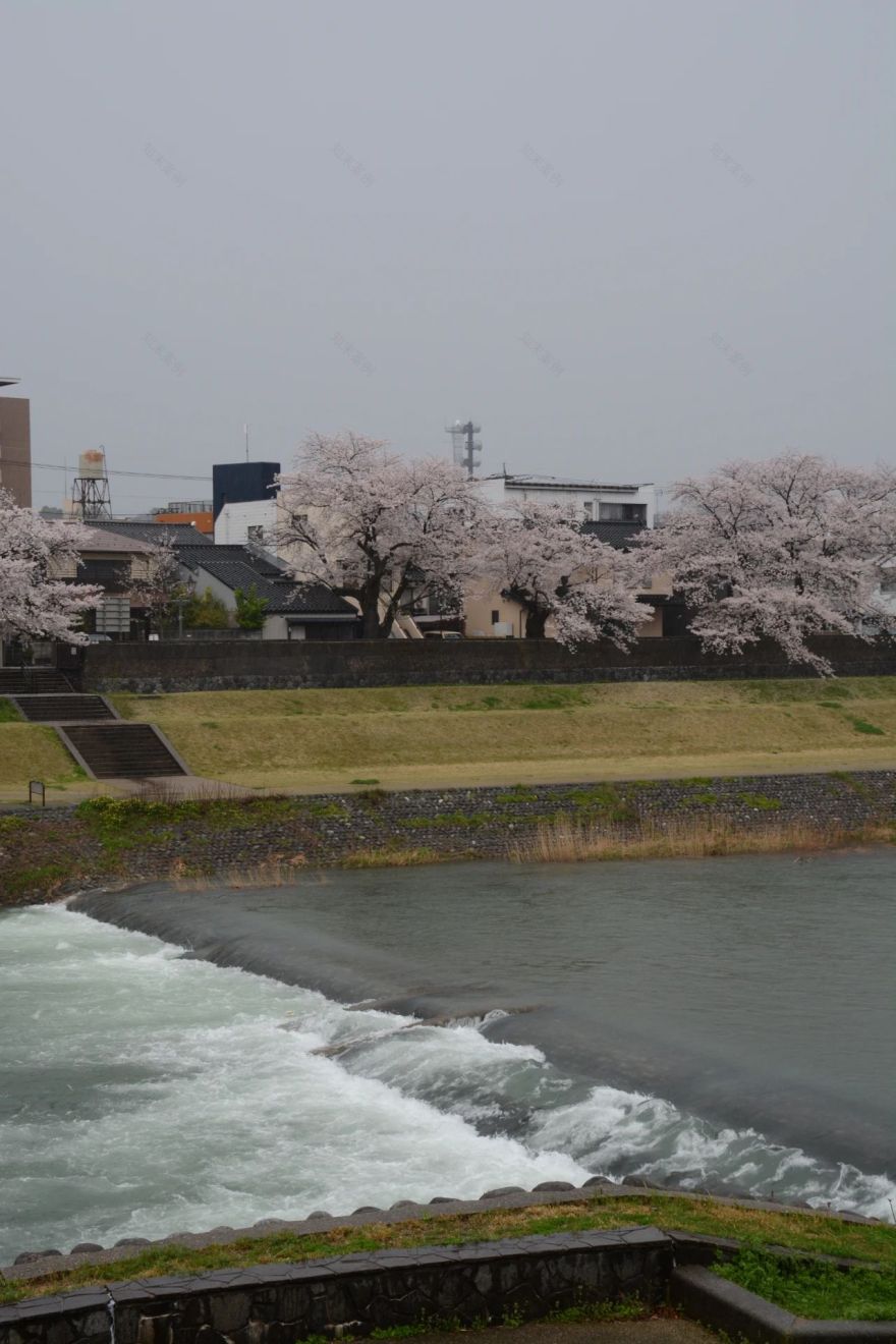 谷口吉郎·吉生纪念 金泽建筑馆丨日本丨谷口吉生-64