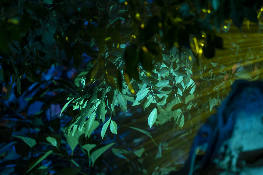 世博文化园温室植物园夜游照明设计丨RDI瑞国际照明设计-14