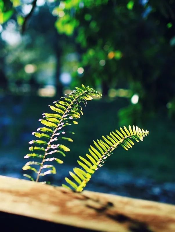 《橙熹设计》宁波现代美式别墅,温馨浪漫,打造舒适居家空间-5