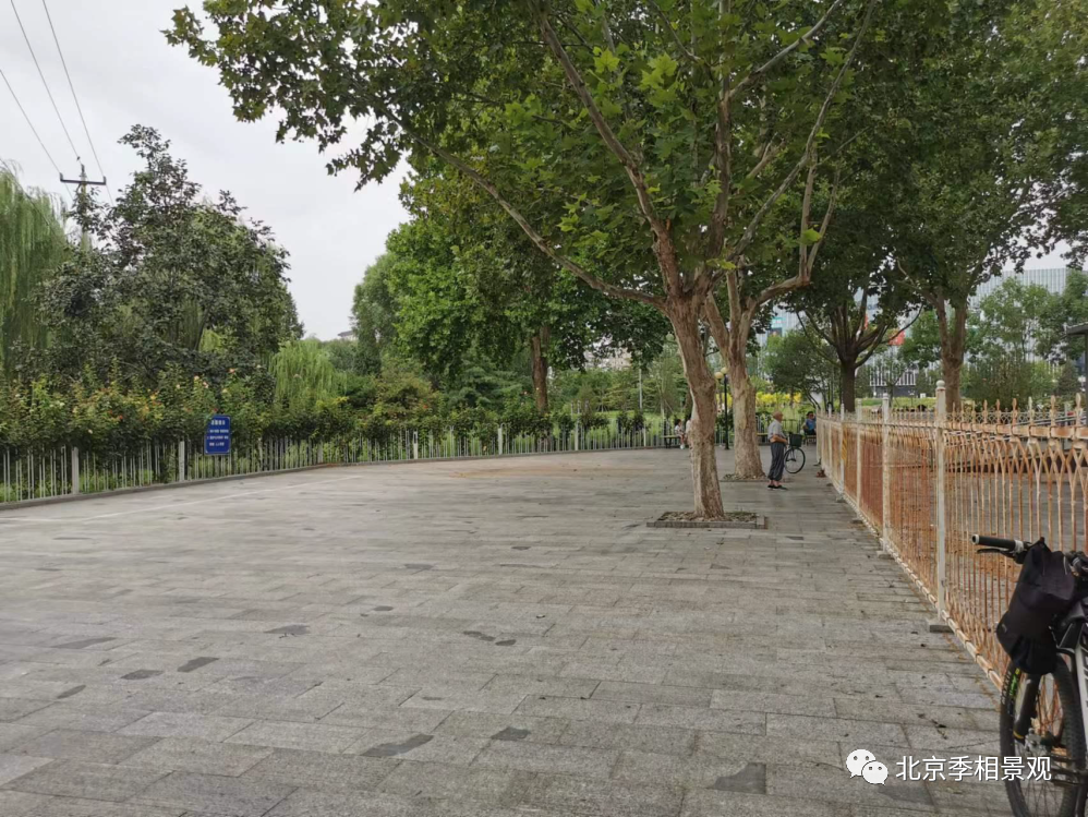 房山府前广场“拆栏透绿”改造丨中国北京丨房山区园林绿化局-47