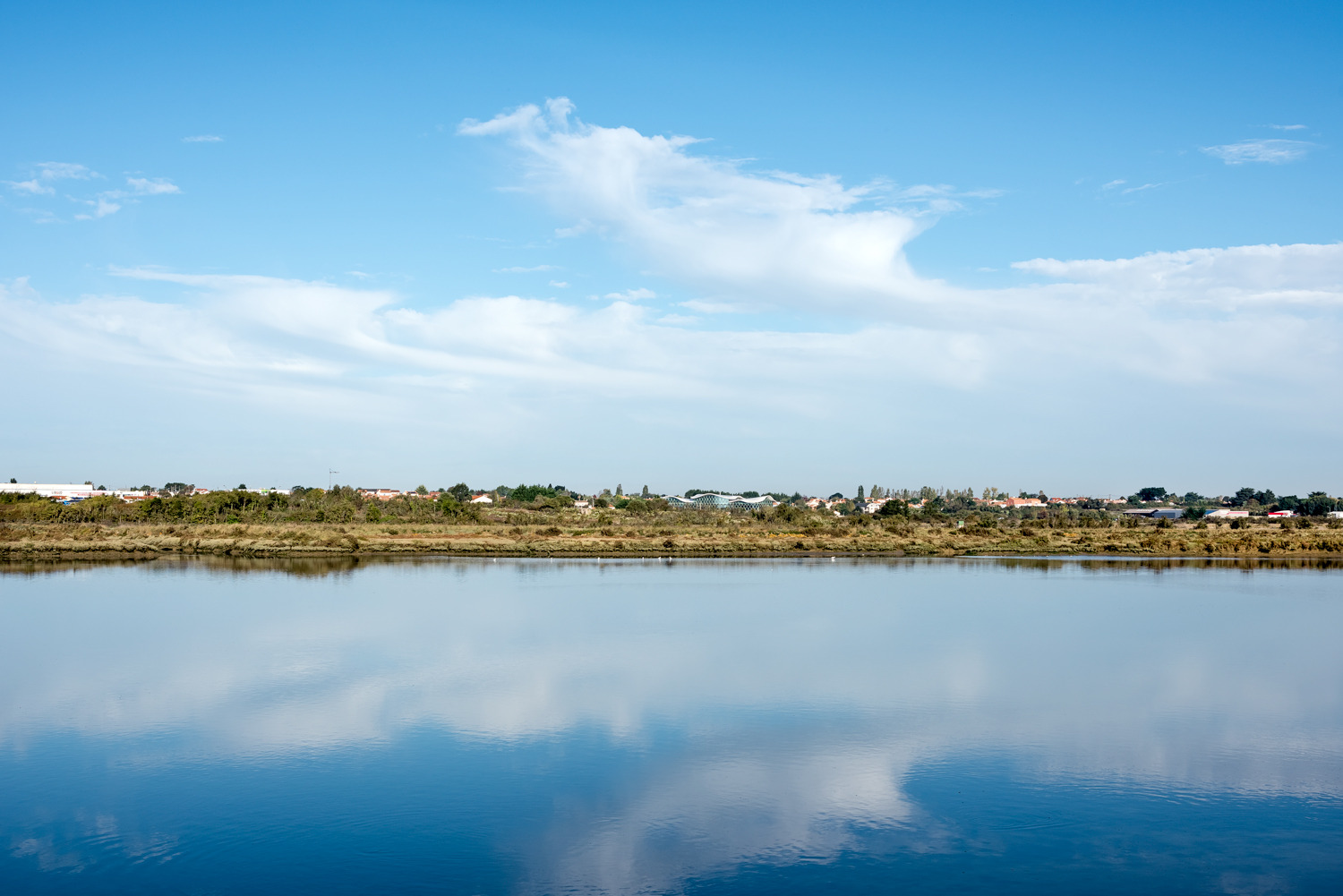 体育馆丨MultiplexeAquatique-33