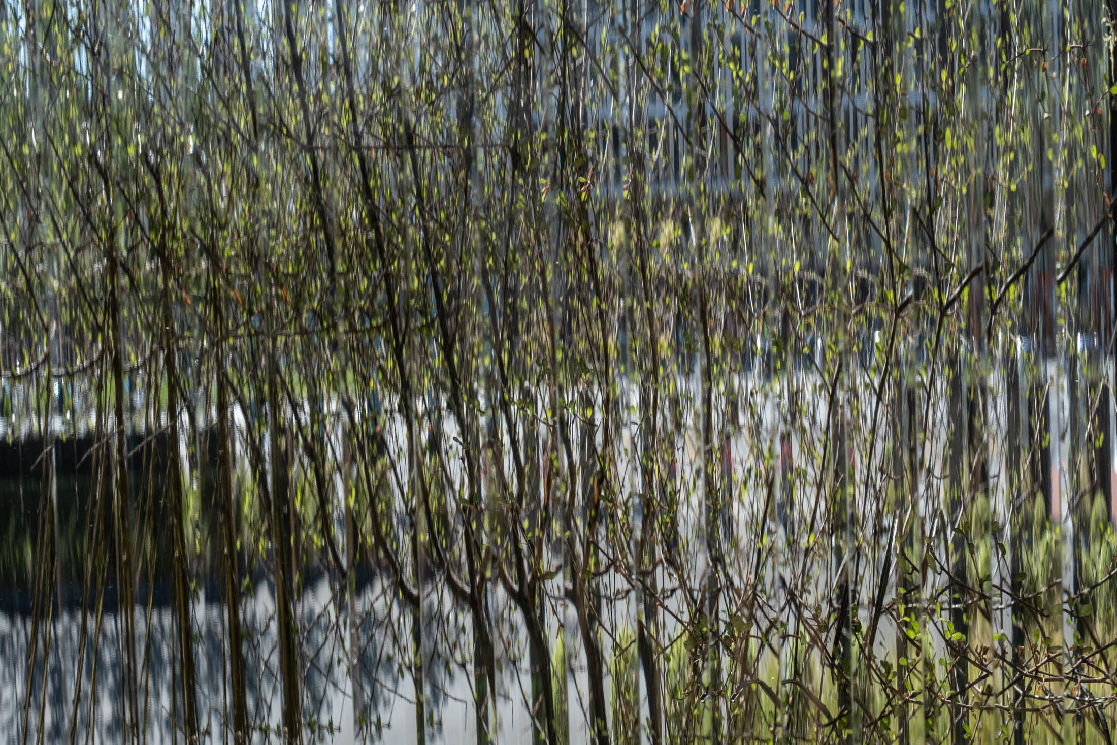 Maggie Marilyn - Xanthe White Design-12