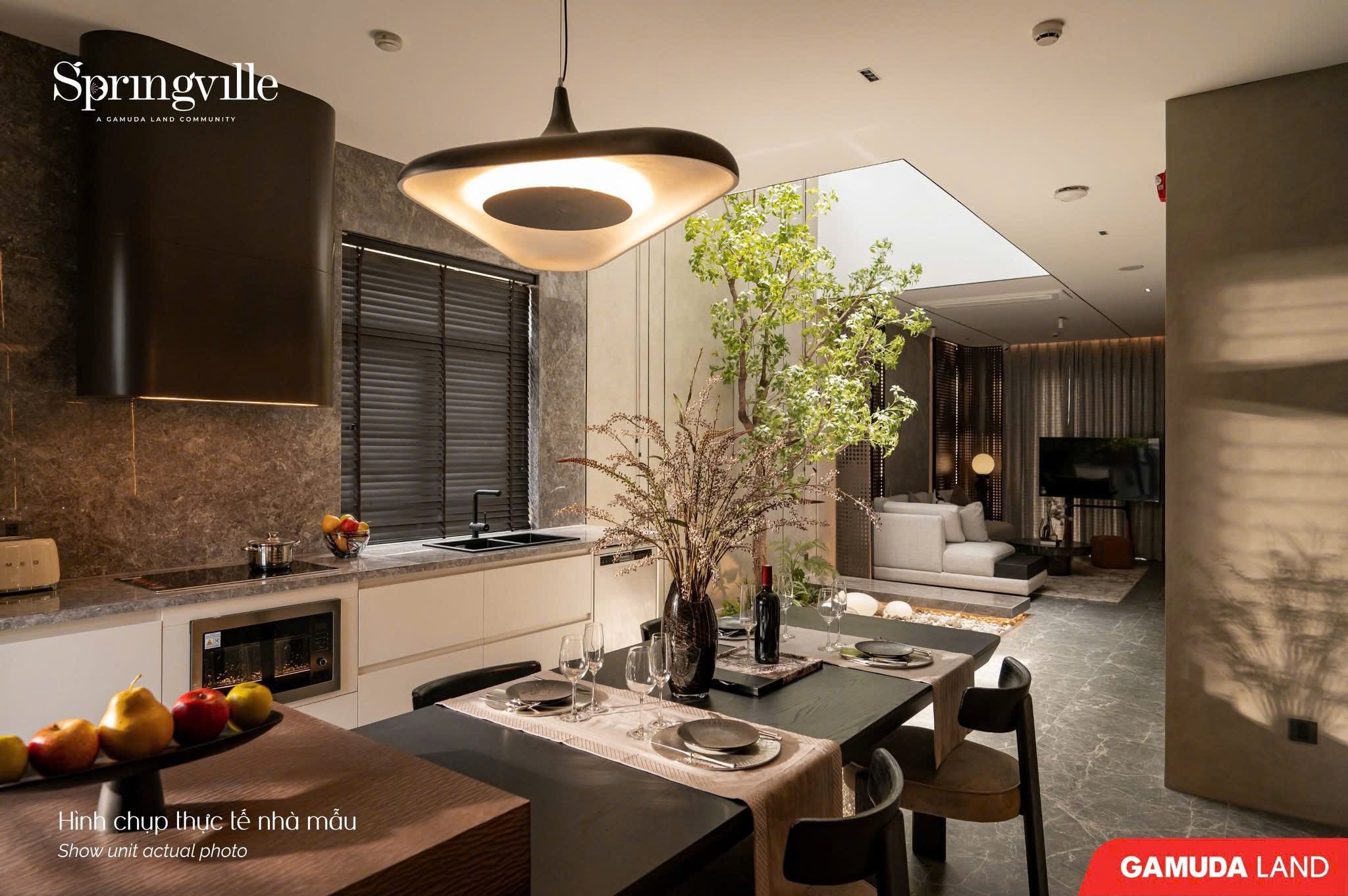 GAMUDA SPRINGVILLE SHOPHOUSE SHOWUNIT - ACTUAL PHOTO-9