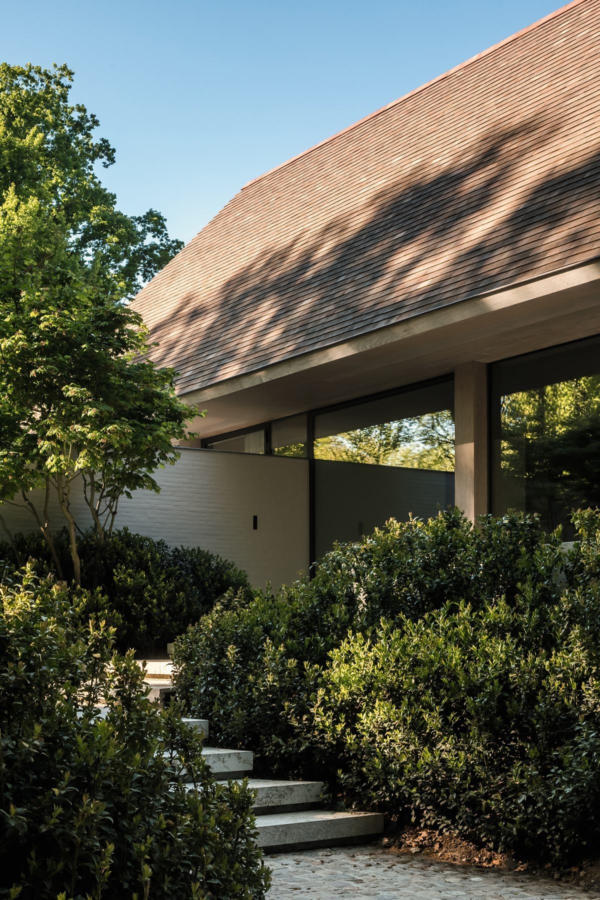 VC 住宅:静谧与开阔丨比利时丨Simon de Burbure-3