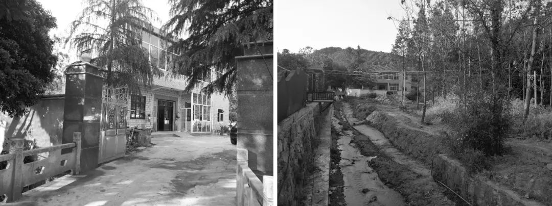 莫干山秘境杉林,尽享自然之美-10