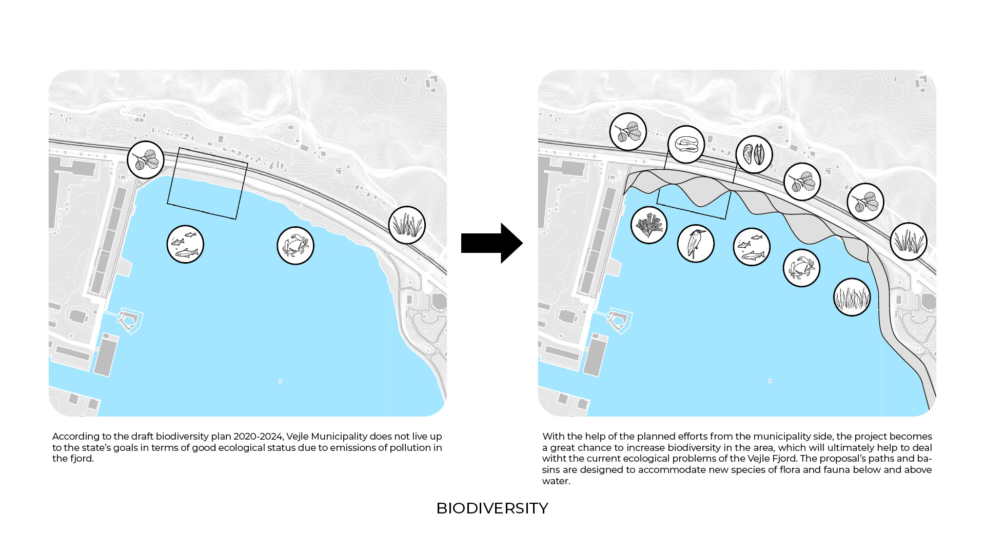 未来公园 · 沿海小径的防洪策略与生态修复-3