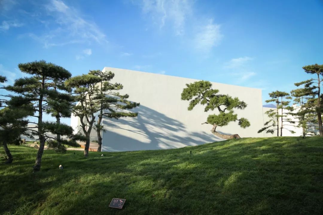 山海关金禧展示区 | 古松奇石，绘就历史画卷-19