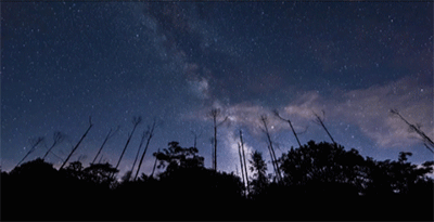 应物+餐|都市桃源·寻觅本真，高地星厨·潮汕食府。-171