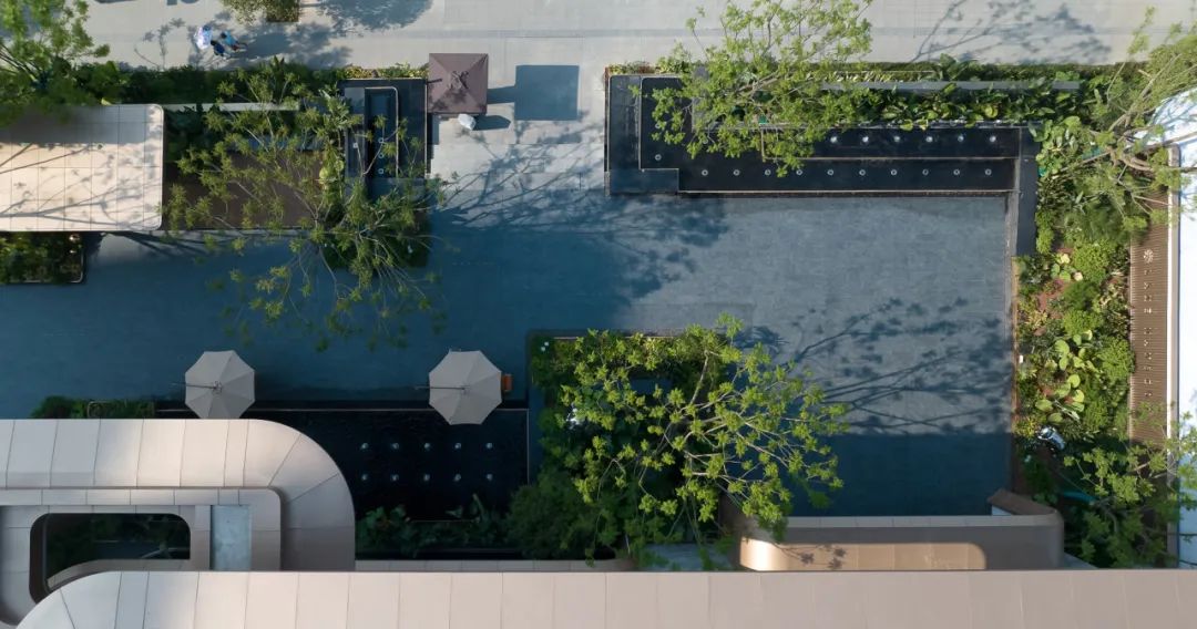 夏日雨林 | 成都德桦·御湖和境-27