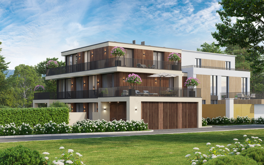 乔纳的房子丨瑞士-4