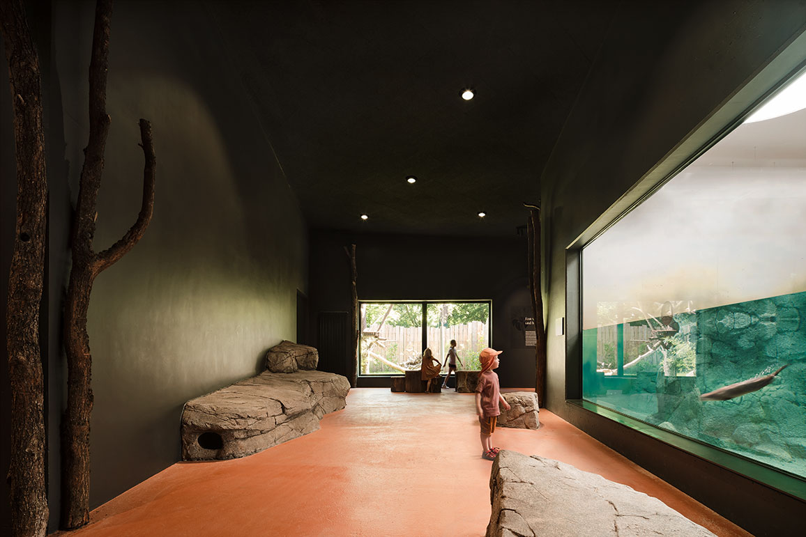 德累斯顿动物园猩猩馆丨德国德累斯顿丨未明确提及室内设计方,合作有Rehwaldt景观建筑师事务所-21