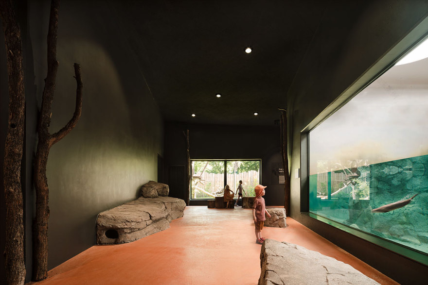 德累斯顿动物园猩猩馆丨德国德累斯顿丨未明确提及室内设计方,合作有Rehwaldt景观建筑师事务所-21