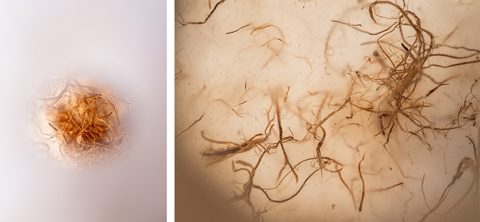 威尼斯Barzakh凉亭装置丨法国尼斯丨waiwai-19