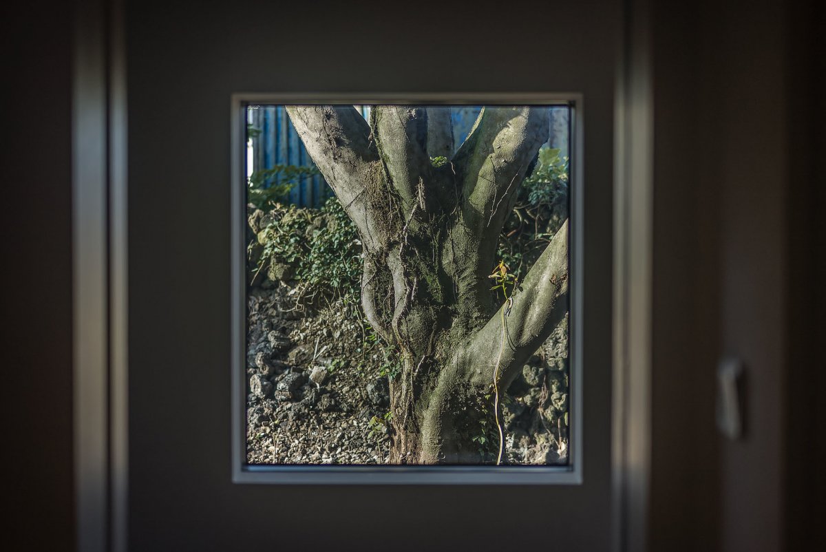 济州岛明月圣地设计-21