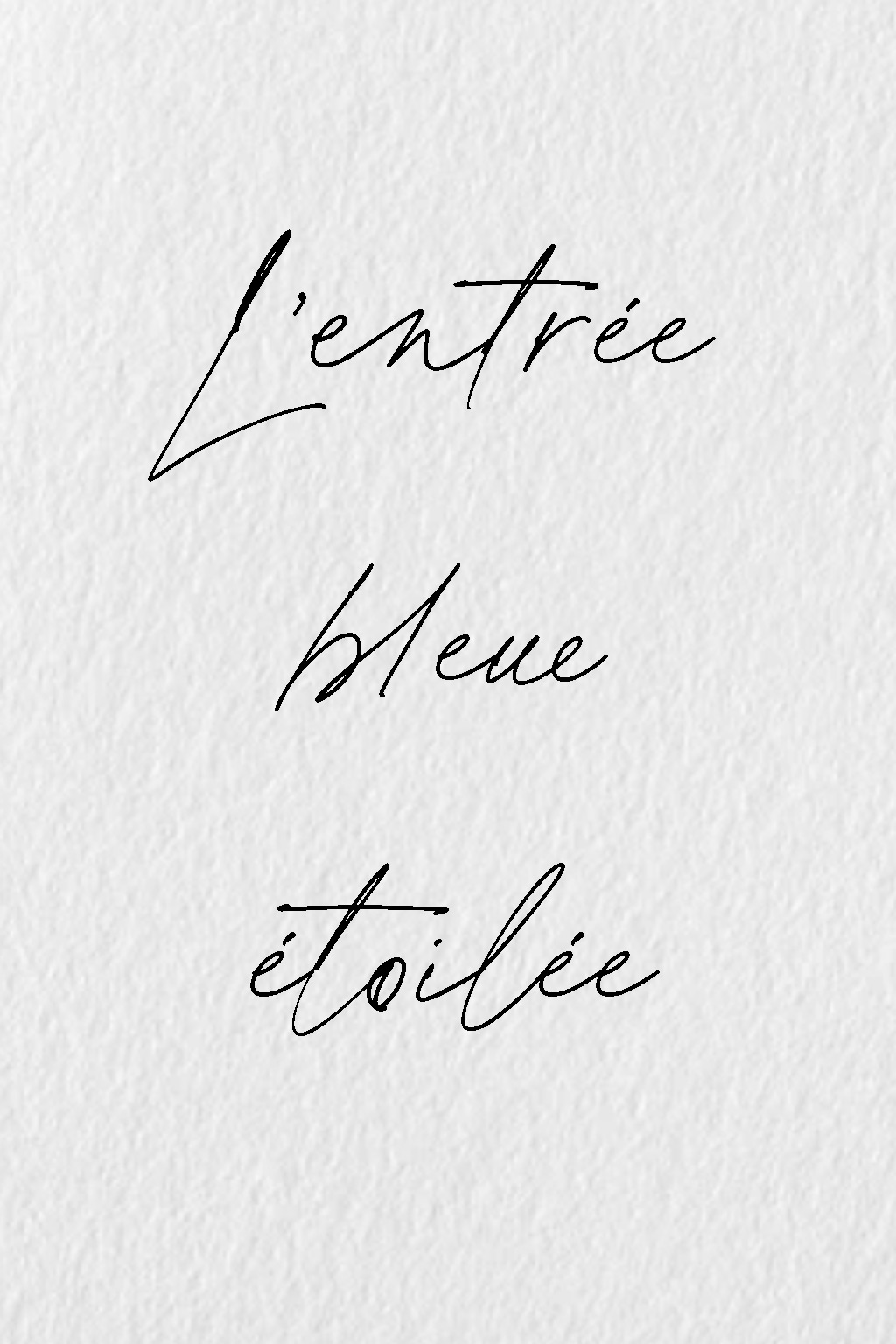 Réalisation / Blanc éclatant – Architecte d'intérieur. Skéa Designer.-7