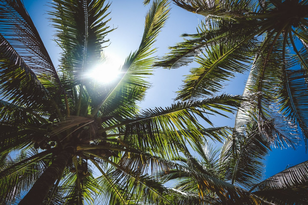 斐济五星级豪华度假酒店,现代斐济风格的海滨别墅-113