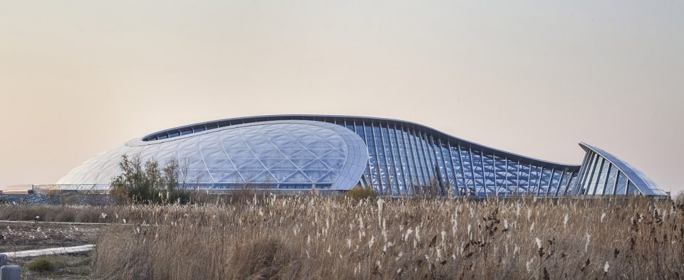 黑瞎子岛北大荒现代生态园-16