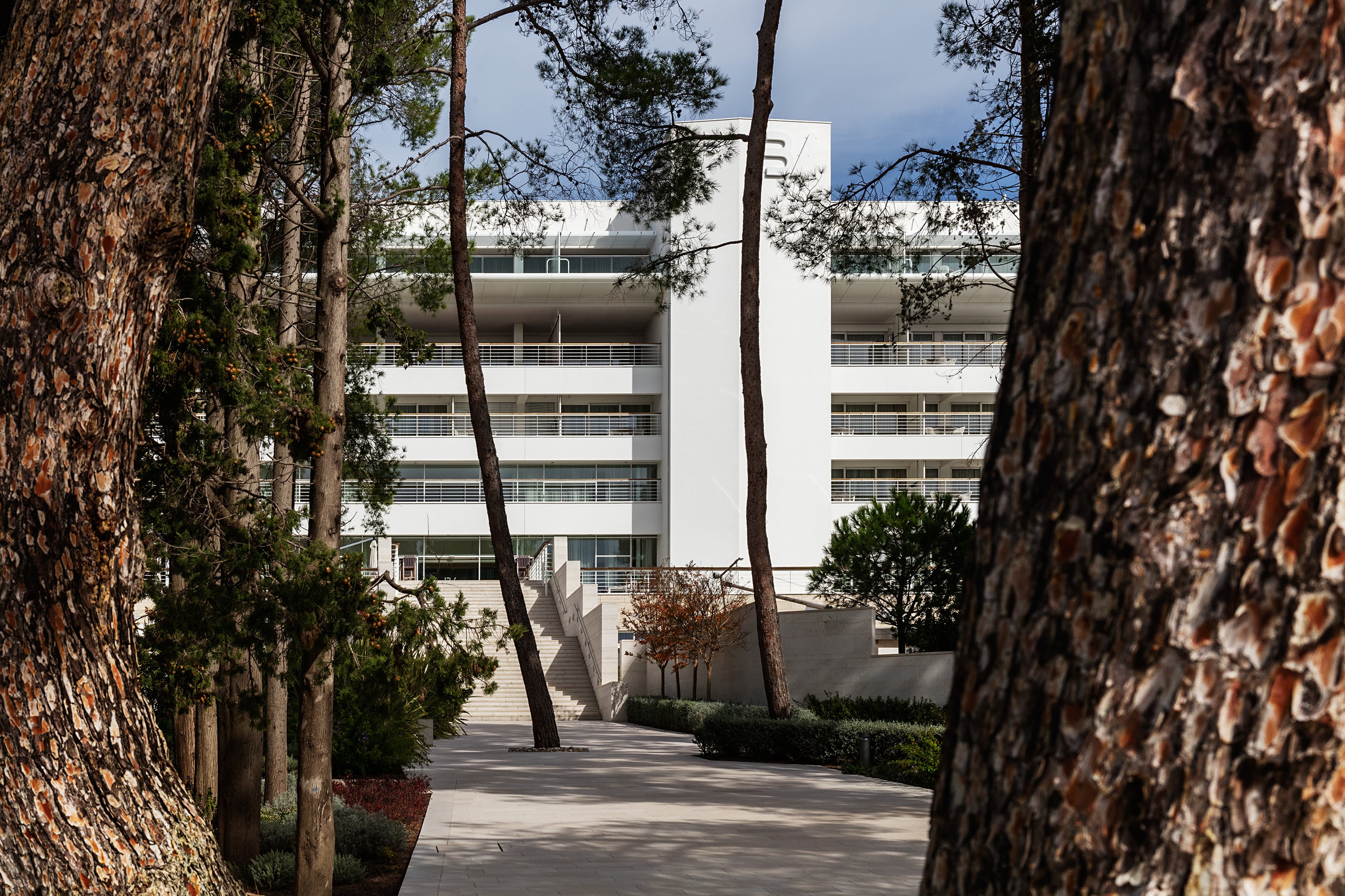 Čikat海湾丨克罗地亚-16