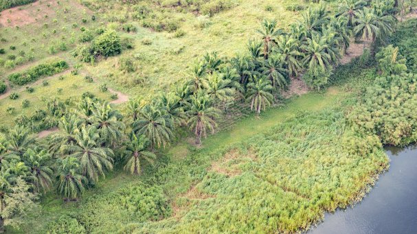 Rwanda Institute for Conservation Agriculture | MASS Design Group-86