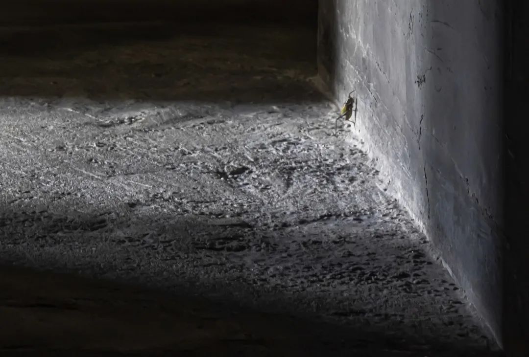 韩熙载夜宴图之叶会所丨中国宁波丨FD设计-32