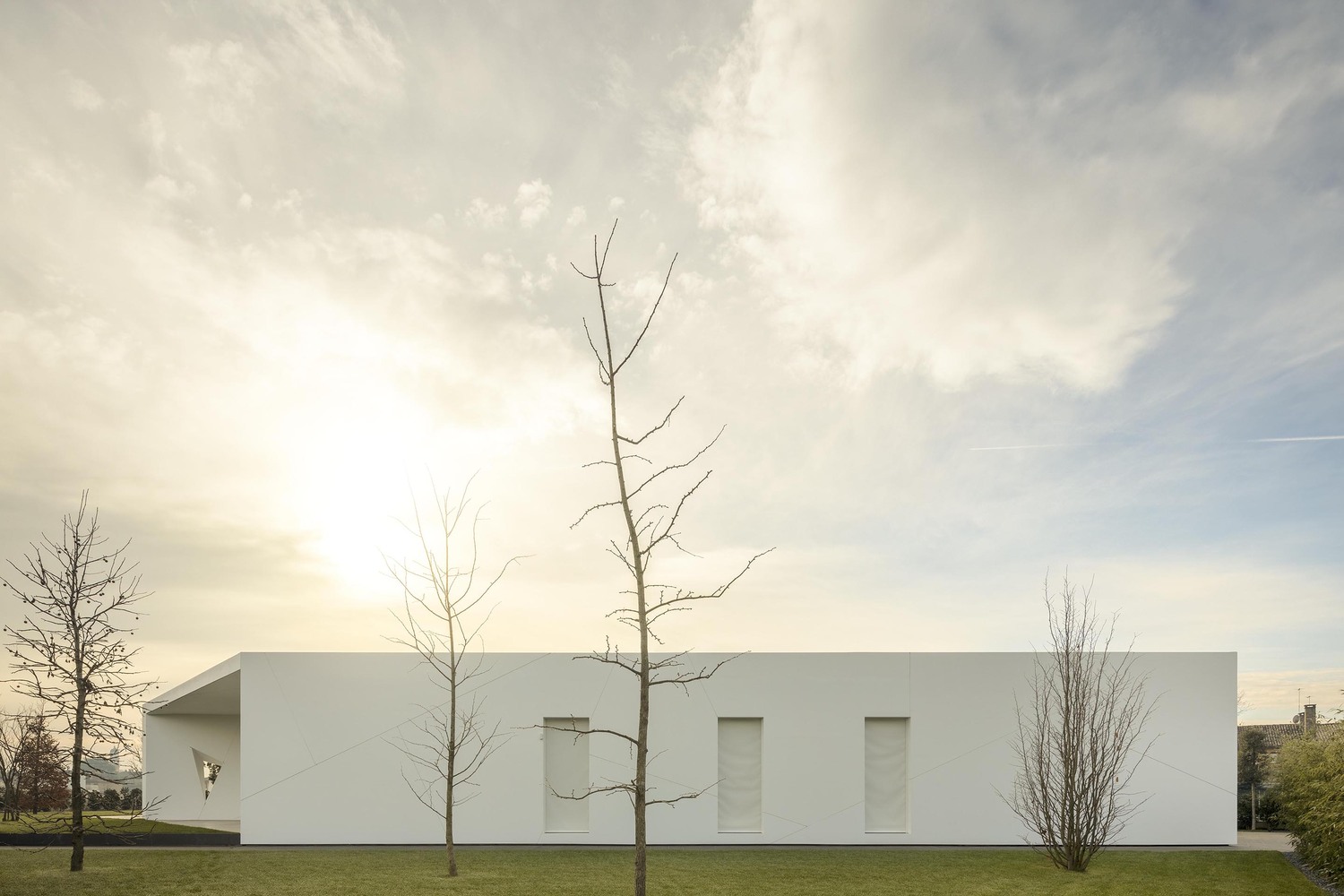 Diamond Tree（钻石树）-62