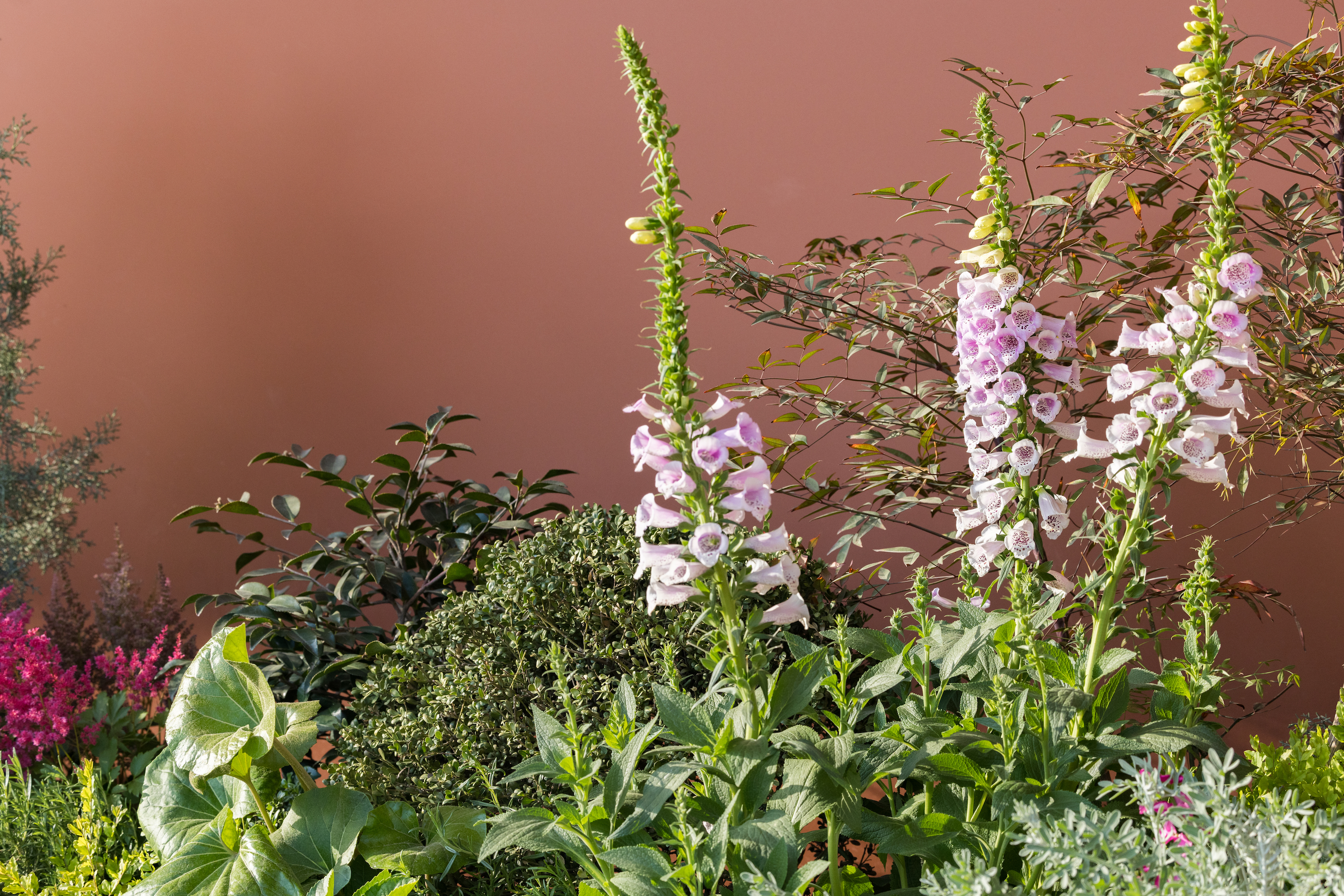 上海青浦西岑水上餐厅花园景观设计丨中国上海丨上海魏玛设计公司,华阳上海建筑公司-29