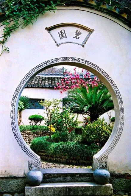 院落生活 | 诗与远方的完美结合-71