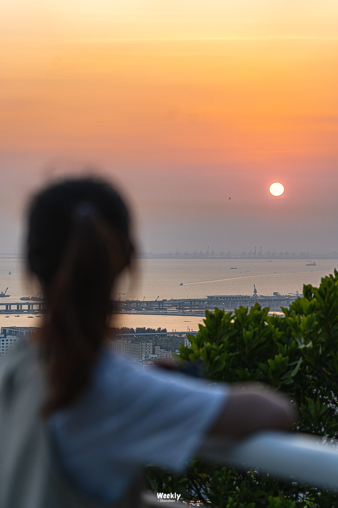 深圳铁仔山城市公园工程设计丨中国深圳丨深圳翰博设计股份有限公司-59