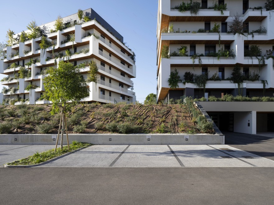 阿尔扎伊大街-25