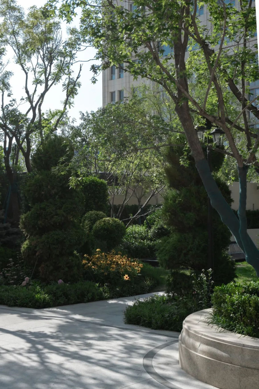 天津万科·滨海大都会观文轩丨中国天津丨Lifescapes International,Inc,天华景观-68