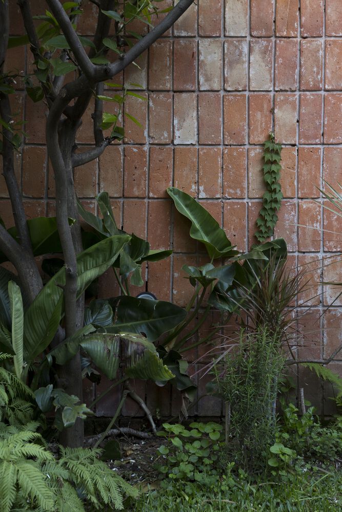 阿根廷 Parque Chas 小区 Giribone House丨Sava Arquitectos-21