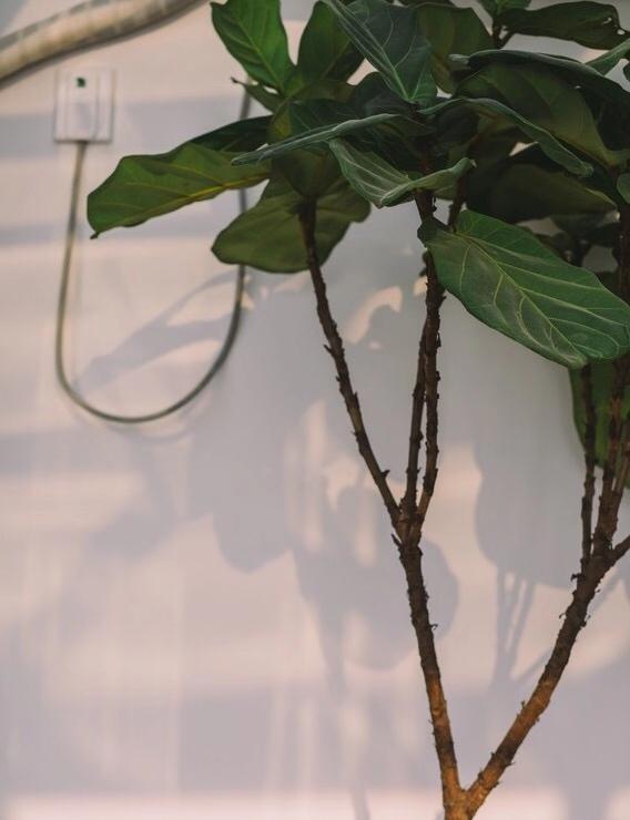 
『 有客 . 拾己 』| 民宿 客栈 -5