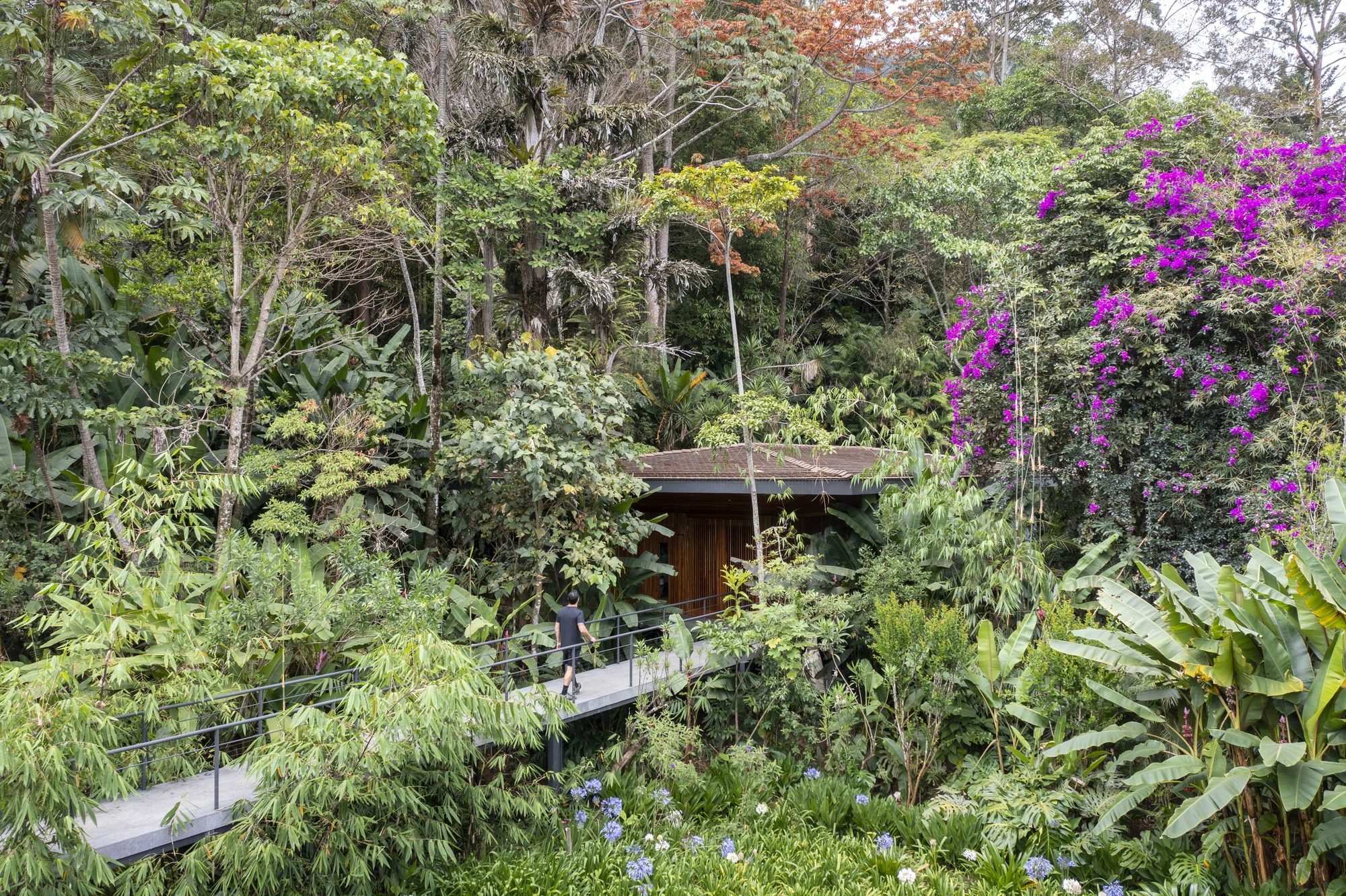 丛林健身房,空洞空虚空白丨哥斯达黎加圣何塞-29