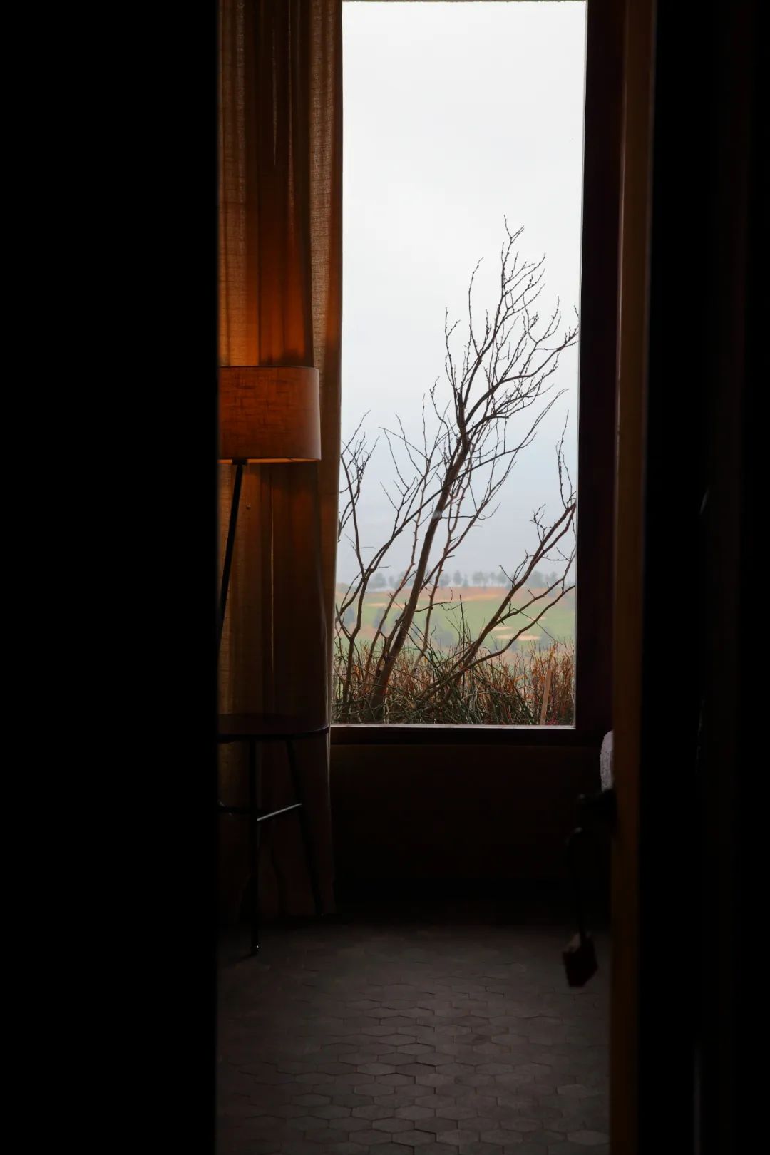 孙姣 | 自然无为,空间秩序的唤醒力量-43