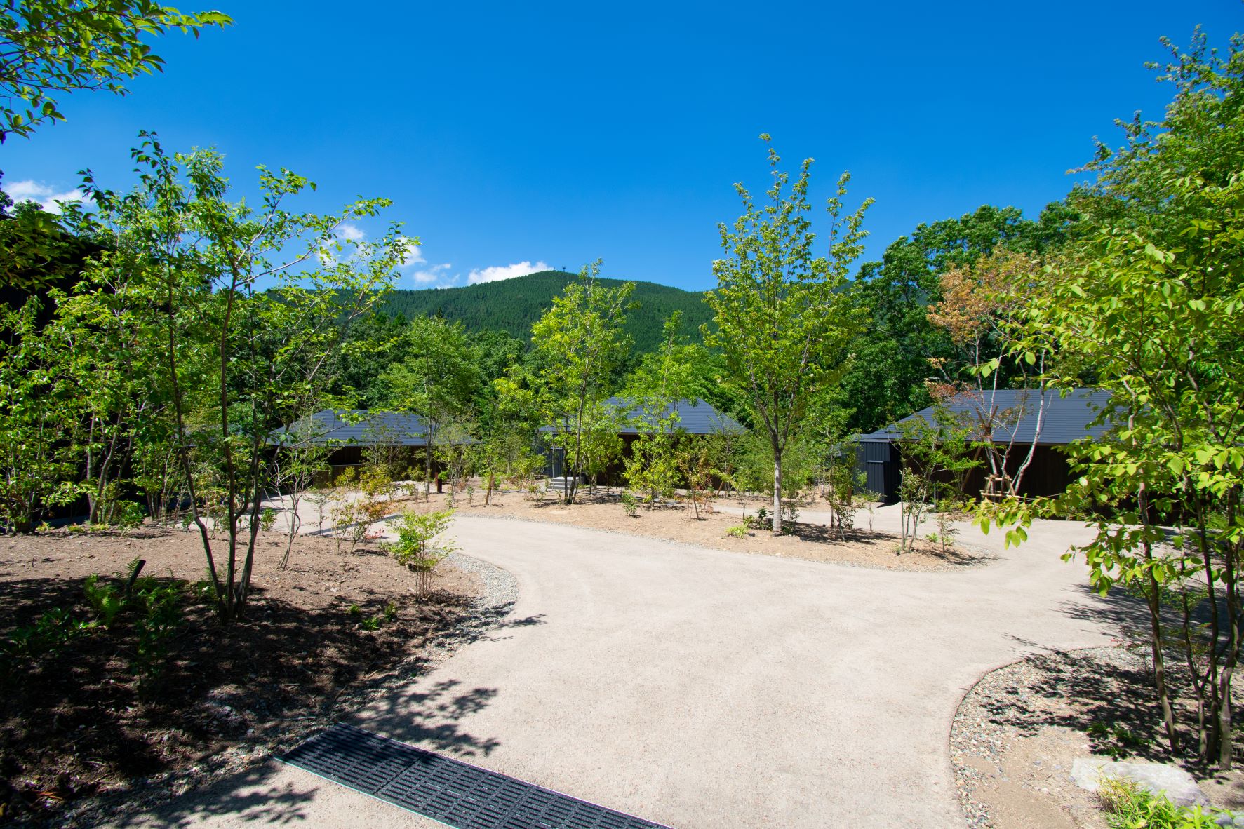 日本界·由布院温泉丨隈研吾建筑都市设计事务所-89